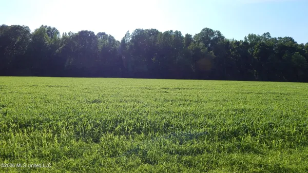 $13,000 | 500 Cr 247 Road, Unit COUNTRY, Bruce, MS 38915