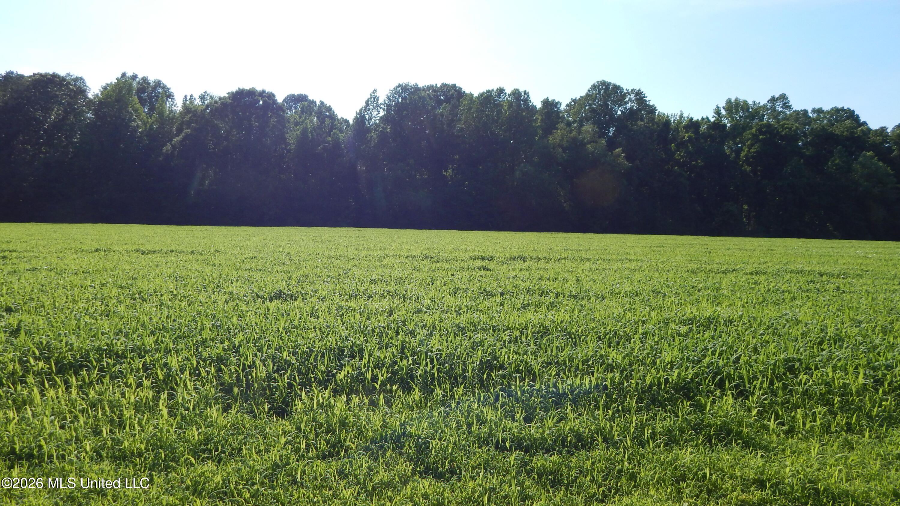 500 Cr 247 Road, Unit COUNTRY Bruce, MS 38915 - Photo 1 of 10 DSCN5246