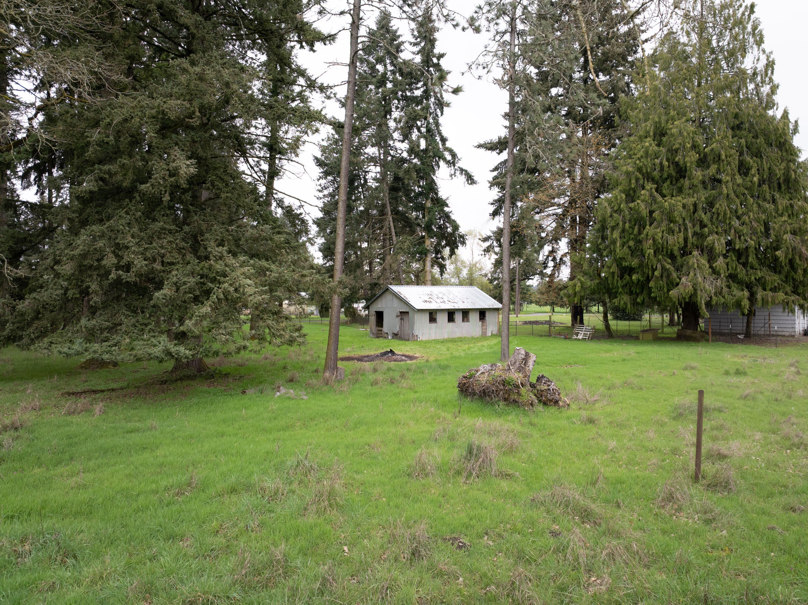 9515 Marion Road Southeast Turner, OR 97392 - Photo 3 of 42 Export--23