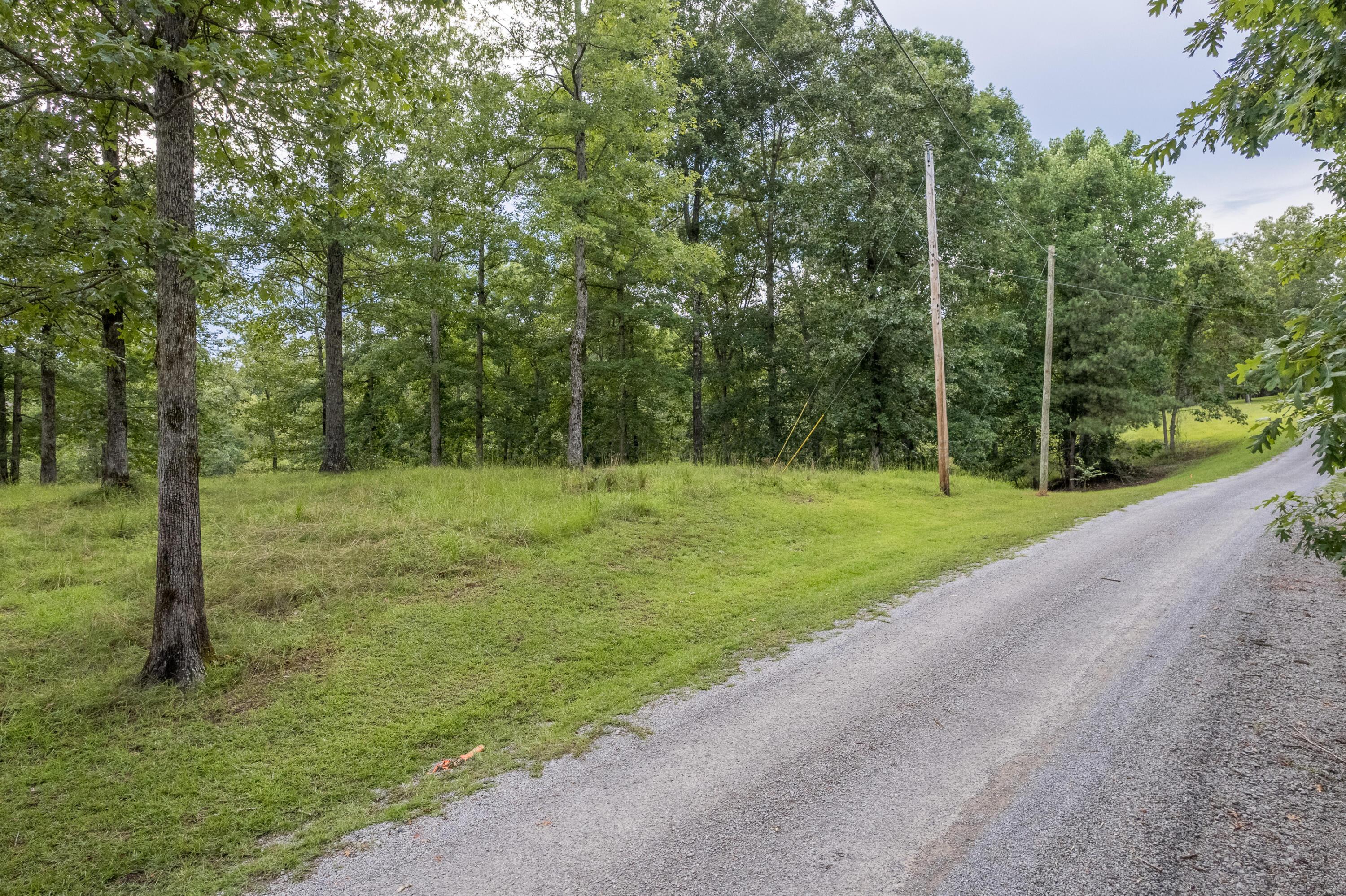 2 Sipsey Pines Road Arley, AL 35541 - Photo 27 of 27 Gallery Image 27