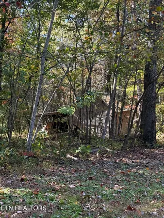 $125,000 | 33 Pine Road, Spring City, TN 37381