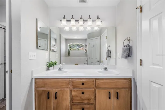 a bathroom with a sink vanity and a mirror