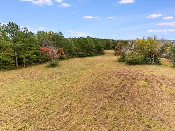 a view of a field with an ocean