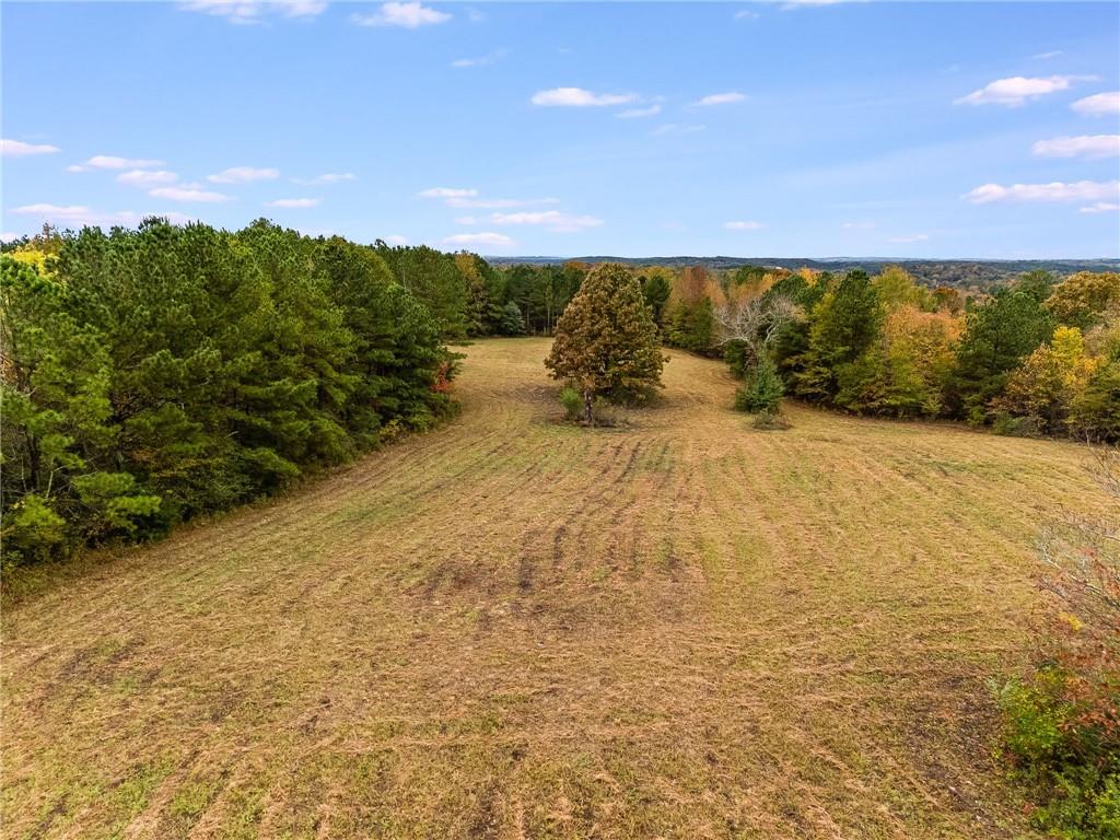 6792 Rockmart Road Southeast Silver Creek, GA 30173 - Photo 37 of 43 a view of lawn with large trees