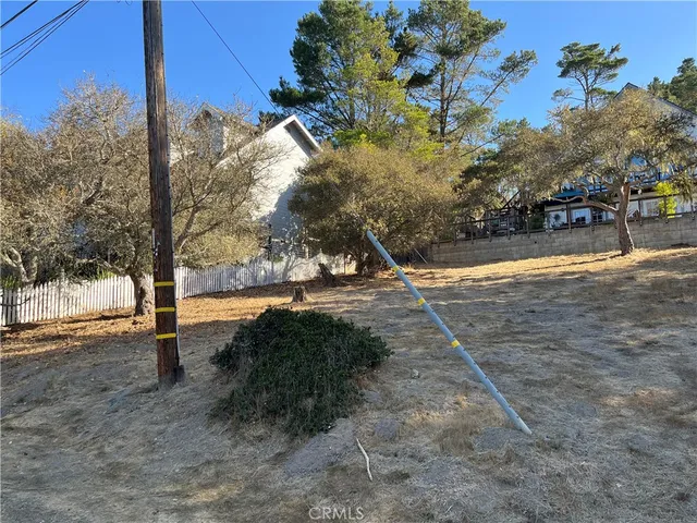 a view of outdoor space with garden