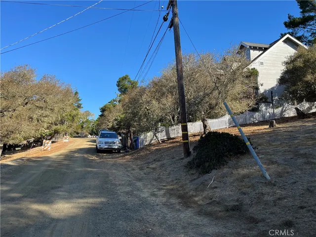 a view of a tree is standing in front of a house