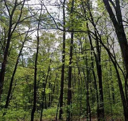 $1,145,700 | 0 Carson Wages Road, Bethlehem, GA 30620