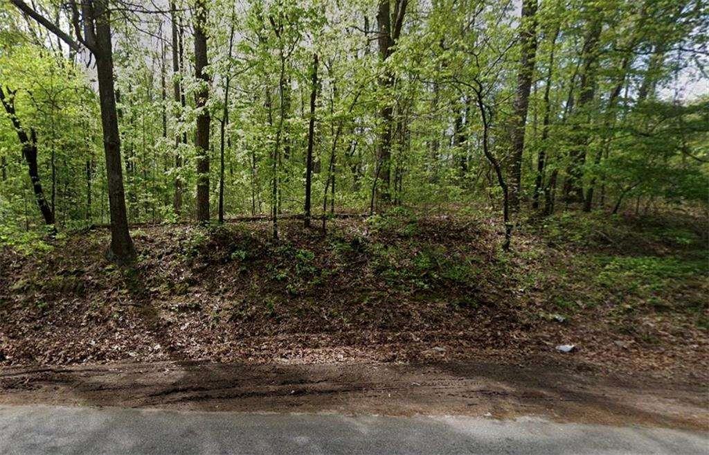 0 Carson Wages Road Bethlehem, GA 30620 - Photo 3 of 5