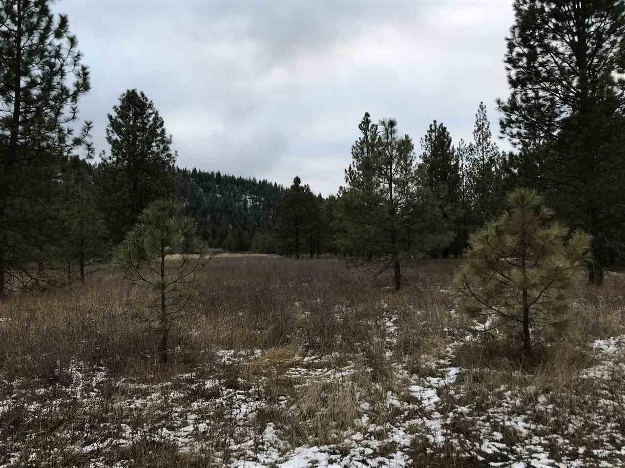 4902 Rail Canyon Road Springdale, WA 99173 - Photo 11 of 19