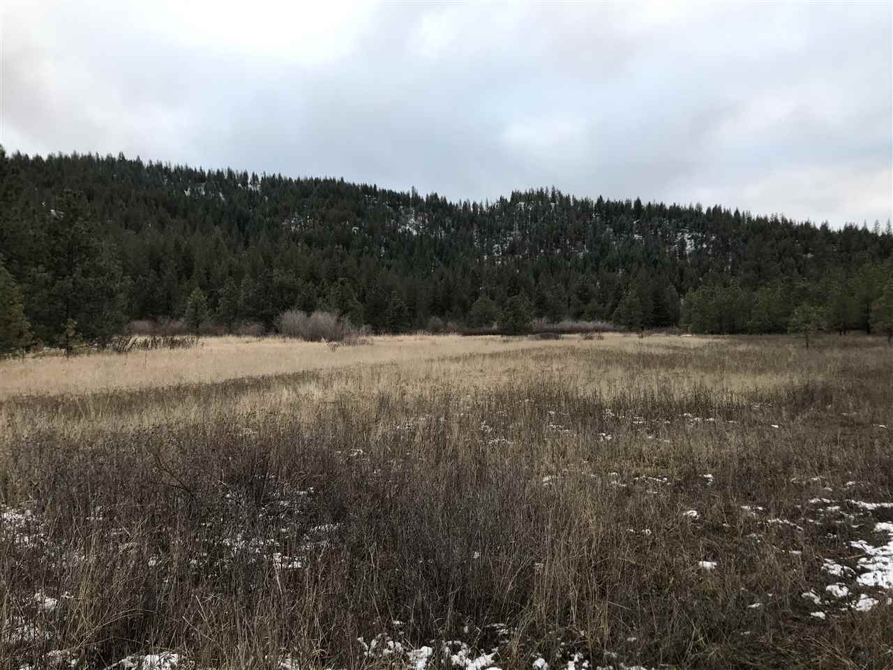 4902 Rail Canyon Road Springdale, WA 99173 - Photo 12 of 19