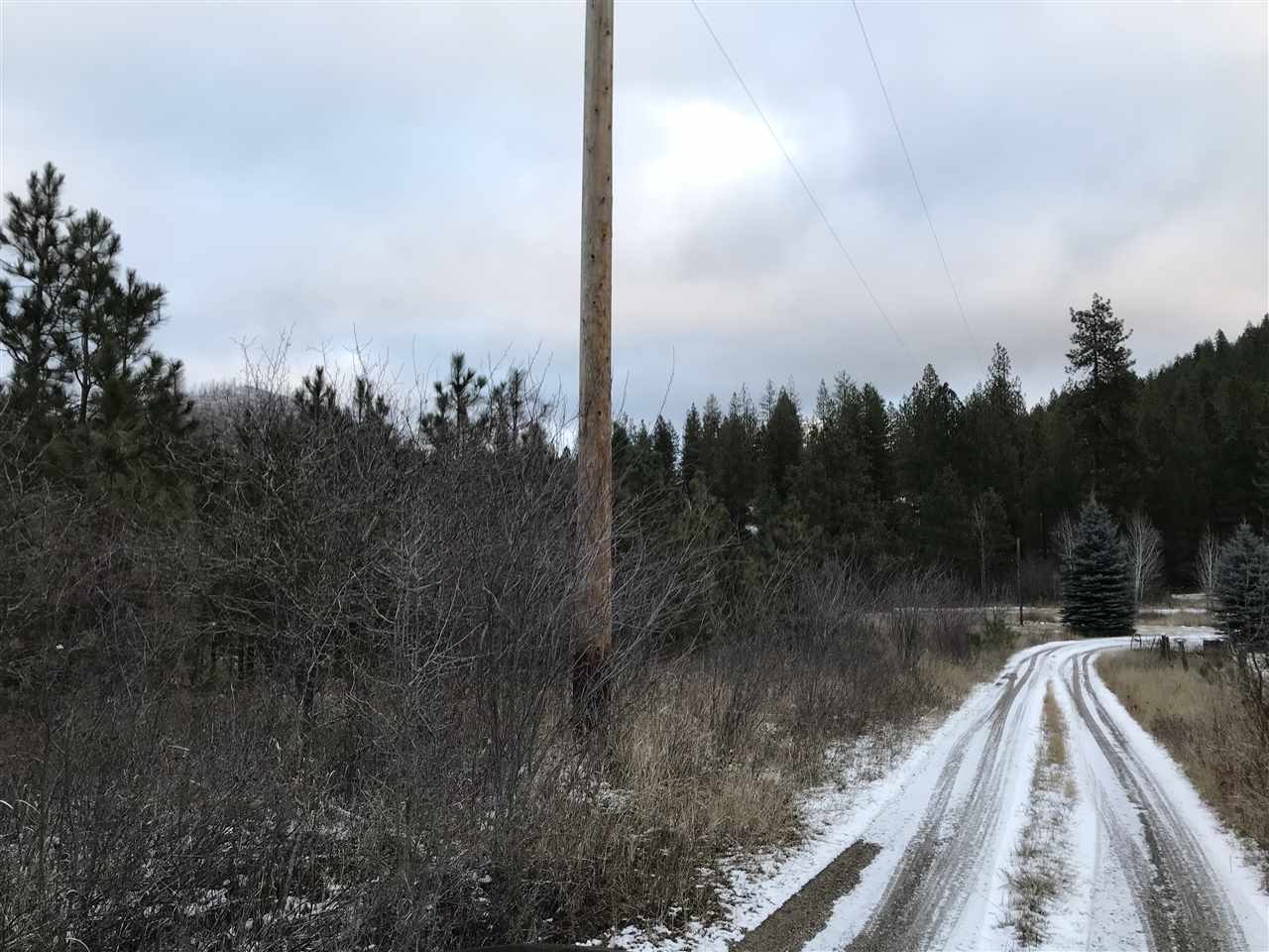 4902 Rail Canyon Road Springdale, WA 99173 - Photo 13 of 19
