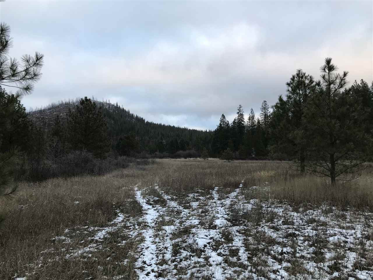 4902 Rail Canyon Road Springdale, WA 99173 - Photo 14 of 19