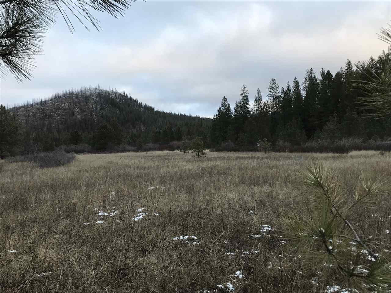 4902 Rail Canyon Road Springdale, WA 99173 - Photo 15 of 19