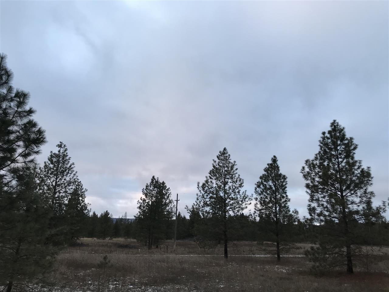 4902 Rail Canyon Road Springdale, WA 99173 - Photo 16 of 19