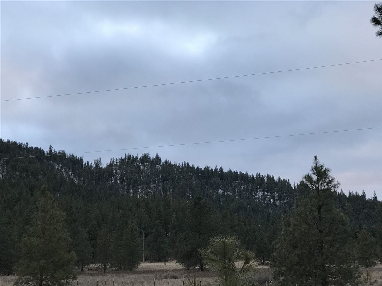4902 Rail Canyon Road Springdale, WA 99173 - Photo 17 of 19