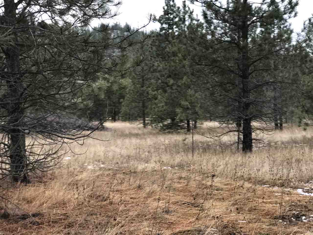 4902 Rail Canyon Road Springdale, WA 99173 - Photo 19 of 19