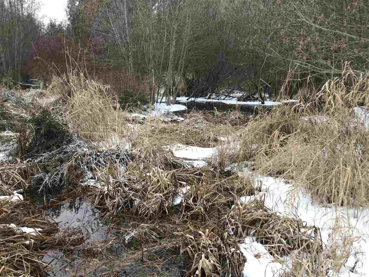 4902 Rail Canyon Road Springdale, WA 99173 - Photo 3 of 19