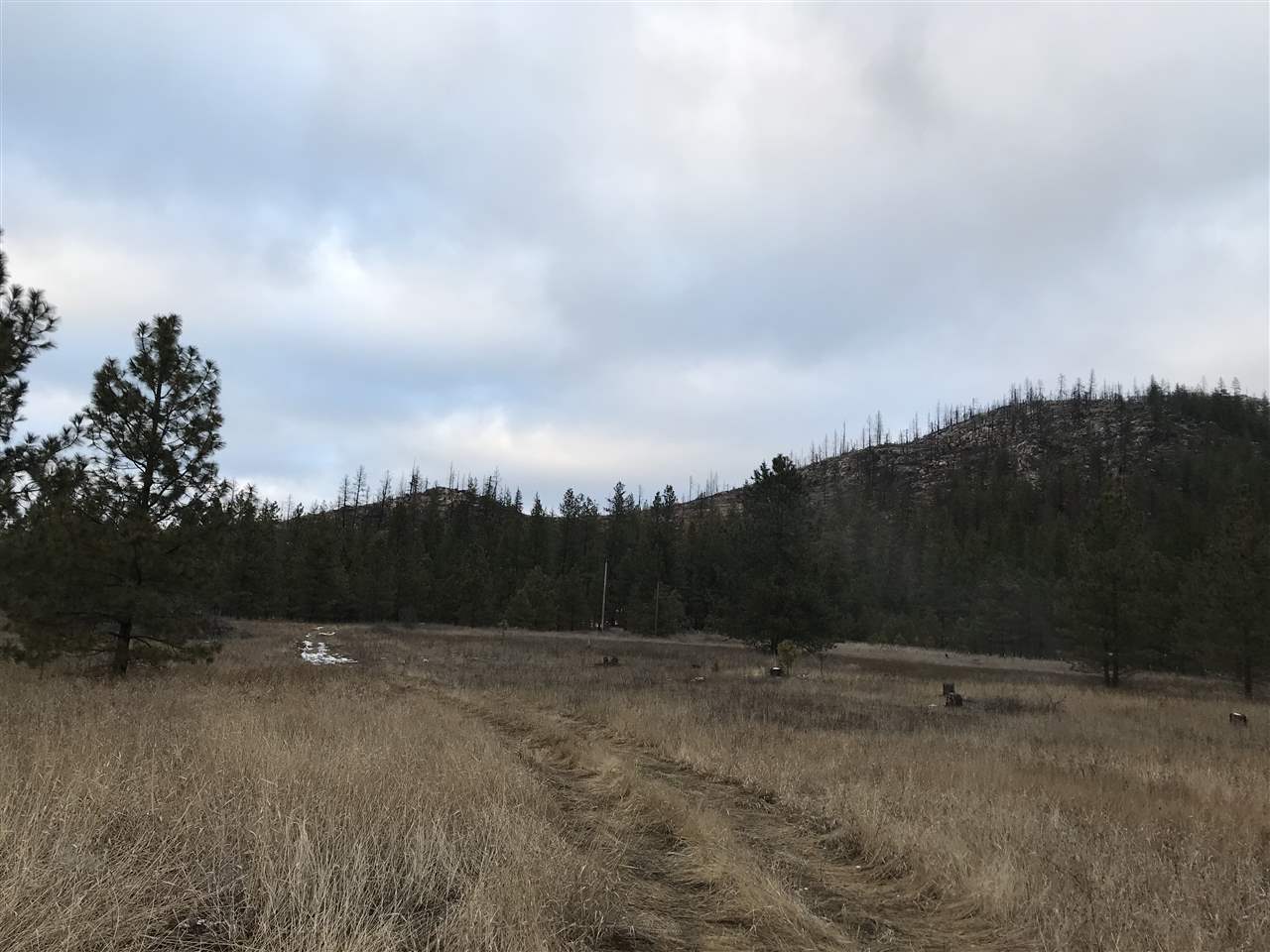 4902 Rail Canyon Road Springdale, WA 99173 - Photo 8 of 19