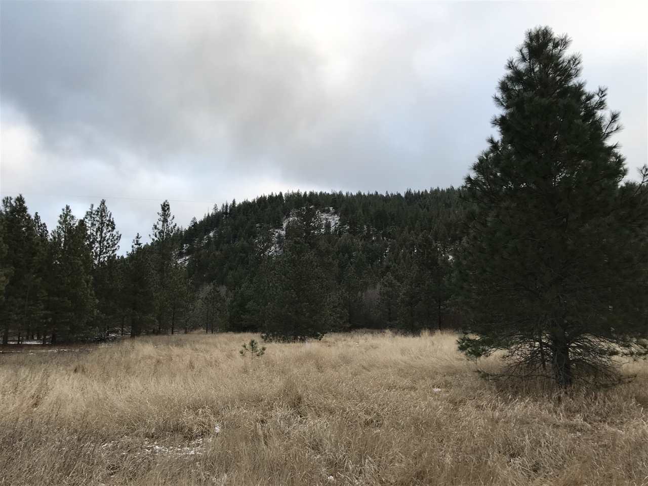 4902 Rail Canyon Road Springdale, WA 99173 - Photo 9 of 19