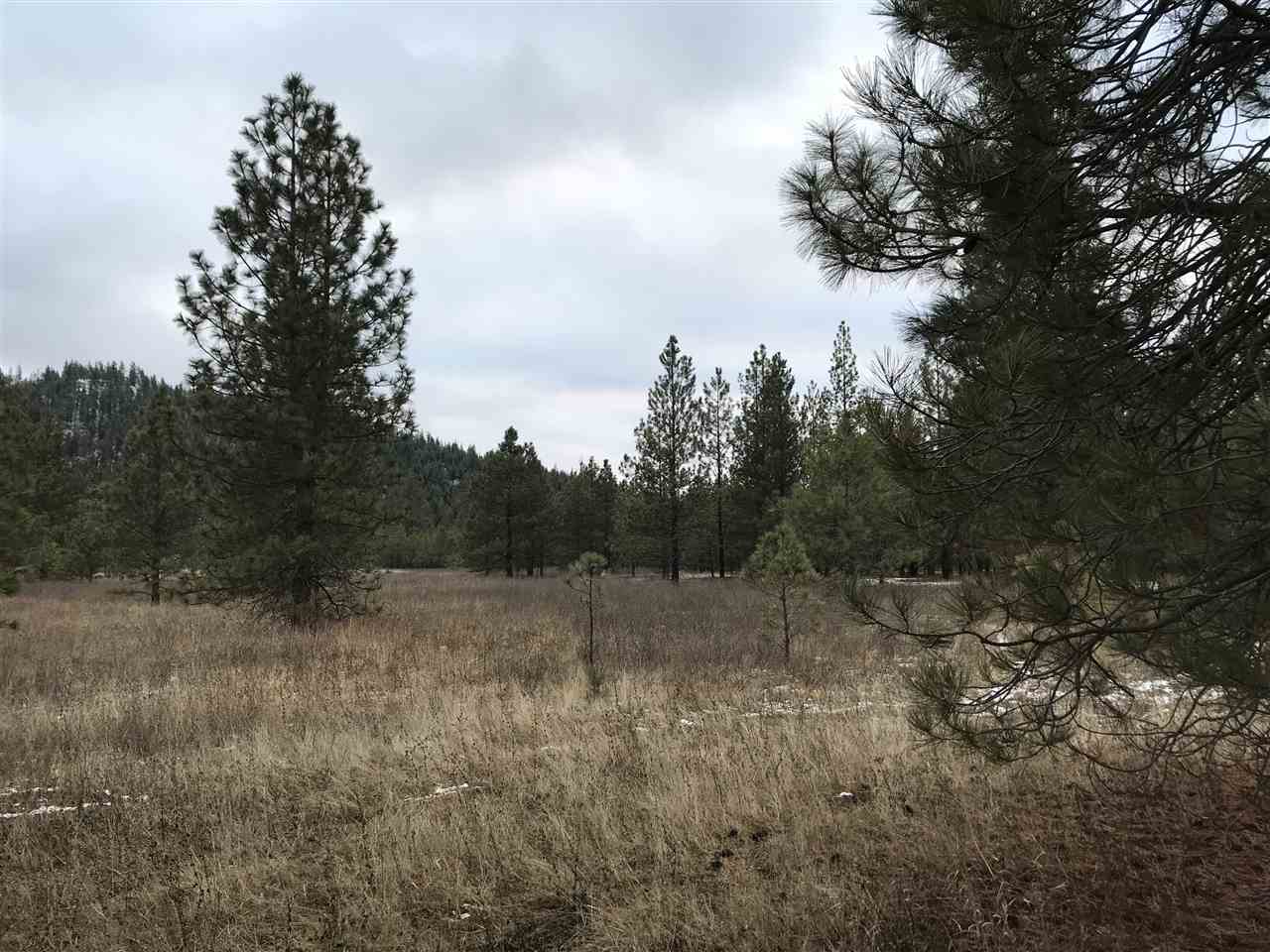 4902 Rail Canyon Road Springdale, WA 99173 - Photo 10 of 19