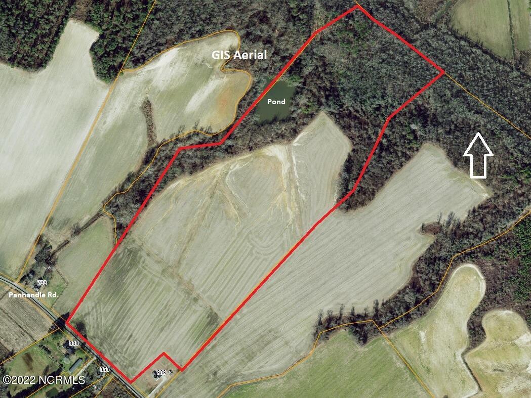 808 Panhandle Road Faison, NC 28341 - Photo 1 of 7 GIS aerial view