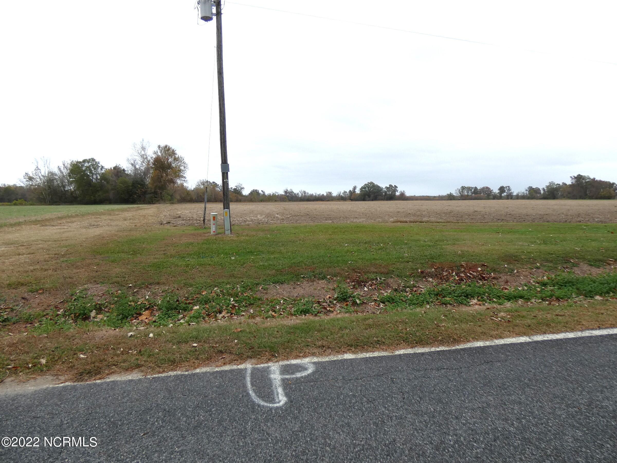 808 Panhandle Road Faison, NC 28341 - Photo 2 of 7 Folger Land - Panhandle Rd (7)