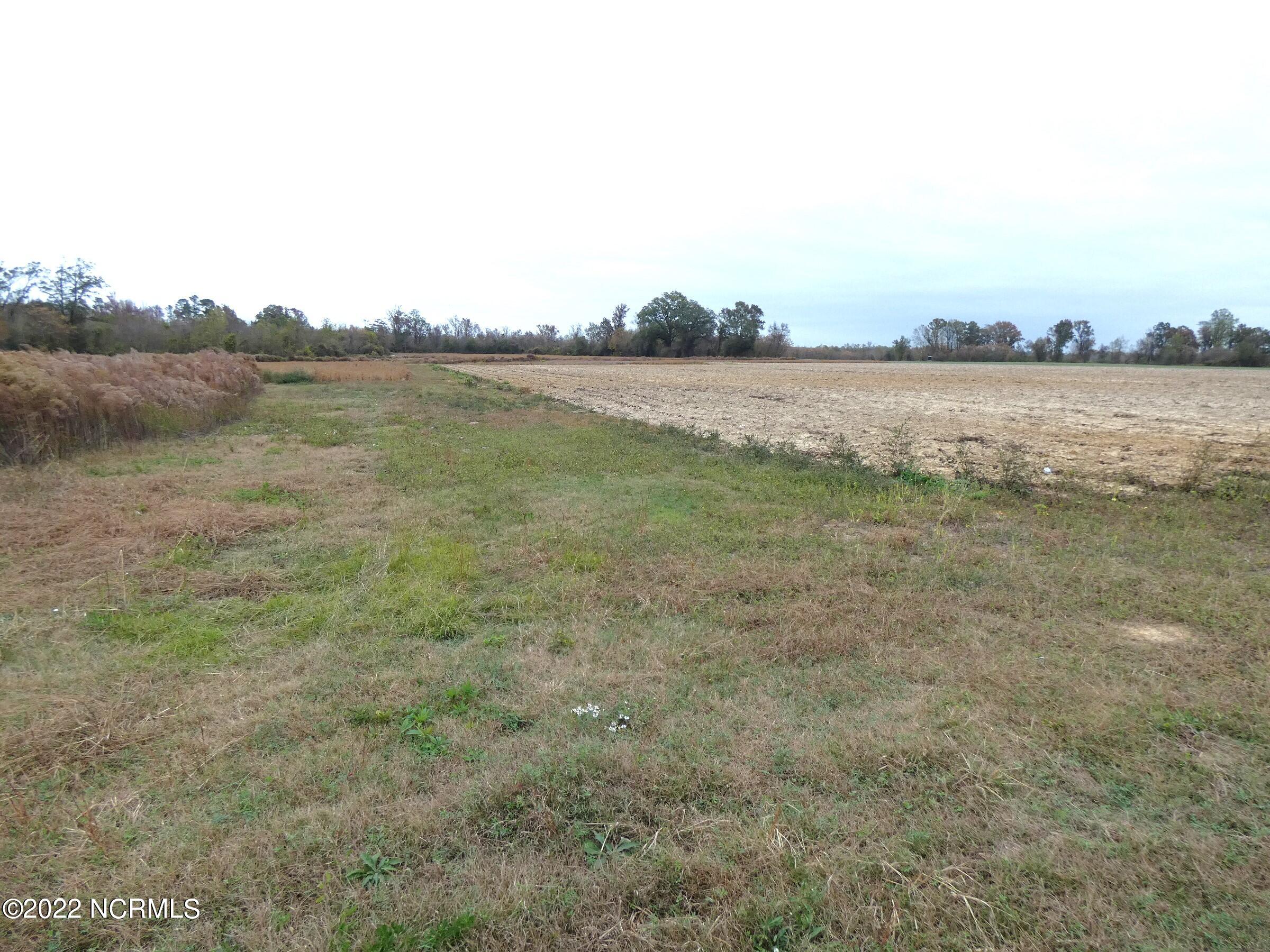 808 Panhandle Road Faison, NC 28341 - Photo 4 of 7 Folger Land - Panhandle Rd (3)