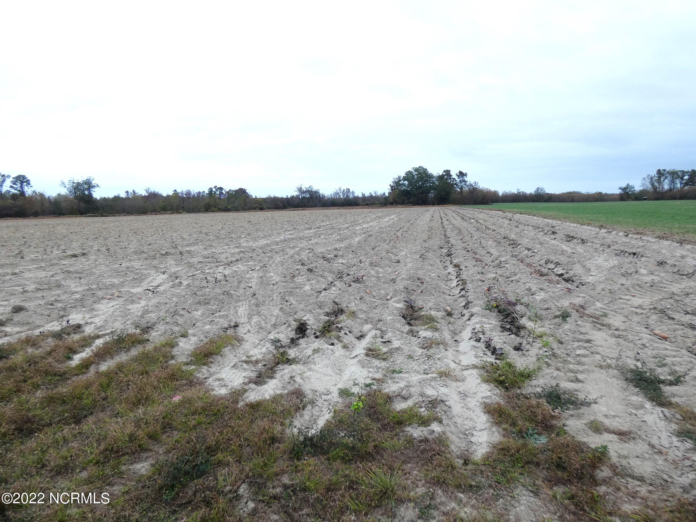 808 Panhandle Road Faison, NC 28341 - Photo 5 of 7 Folger Land - Panhandle Rd (4)