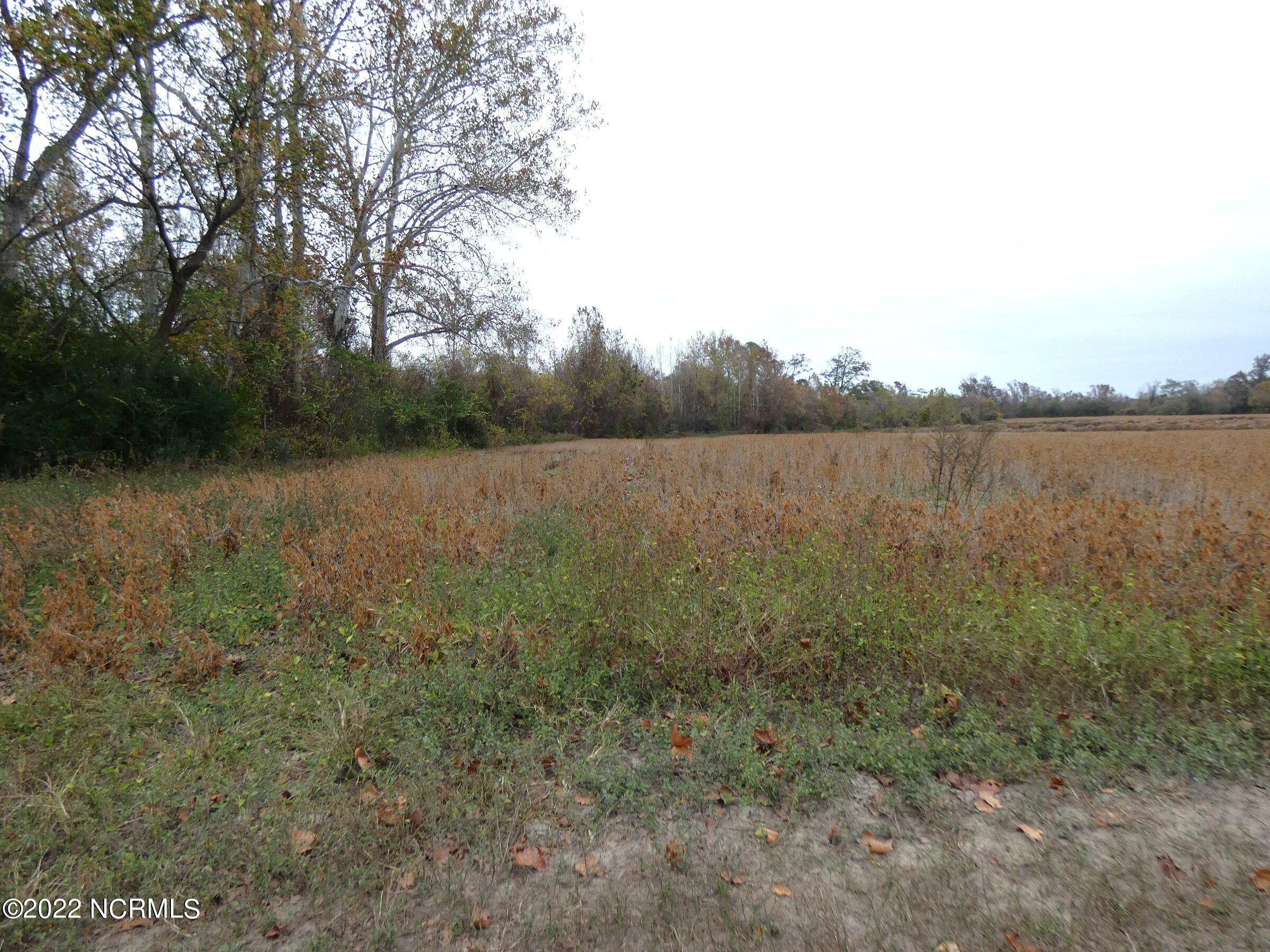 808 Panhandle Road Faison, NC 28341 - Photo 6 of 7 Folger Land - Panhandle Rd (1)