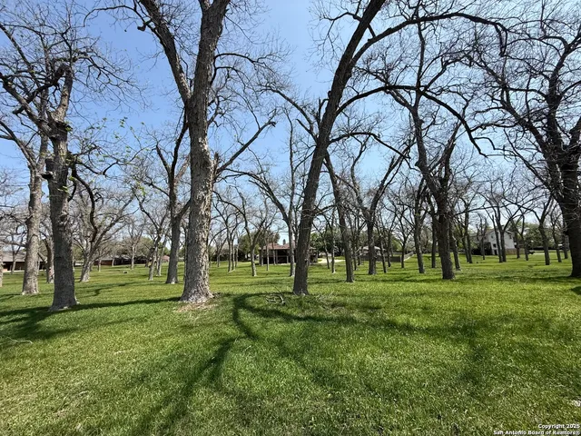 a view of grassy field with benches and trees