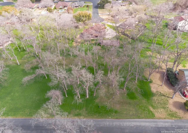 a view of a garden with plants