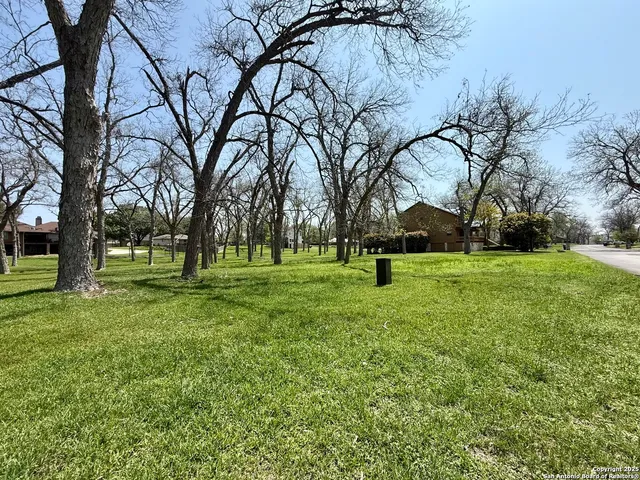 a huge green field with lots of trees