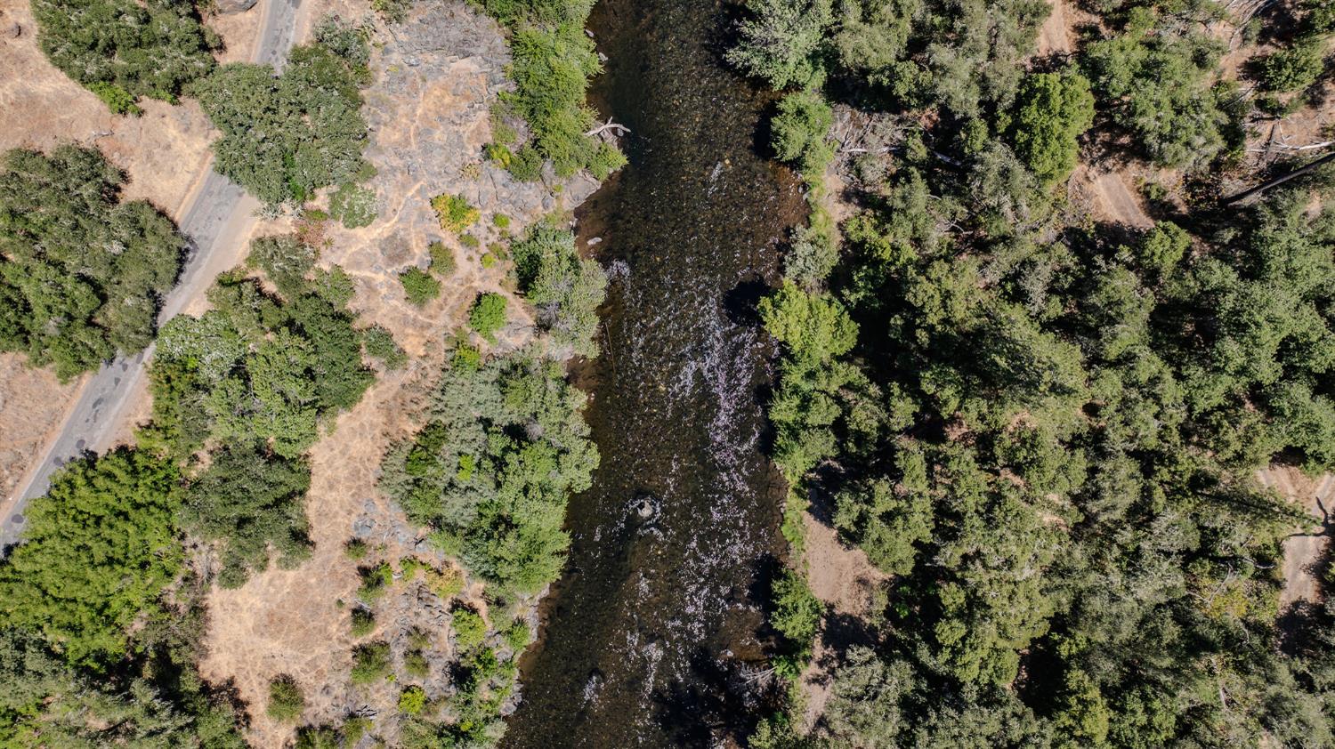 0 Electra Road Jackson, CA 95642 - Photo 24 of 51 a picture of tree