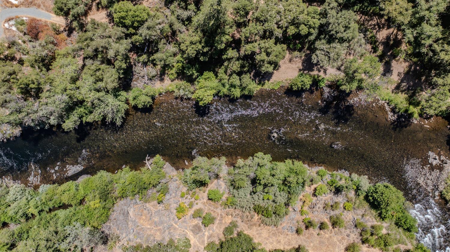 0 Electra Road Jackson, CA 95642 - Photo 25 of 51 a view of a garden with a tree