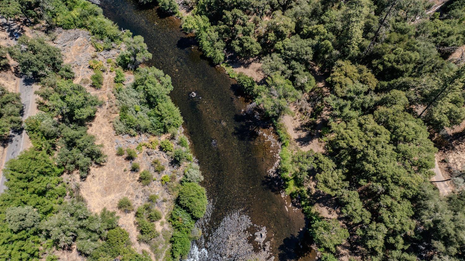 0 Electra Road Jackson, CA 95642 - Photo 27 of 51 a picture of a tree