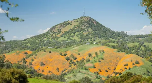 a view of a yard with an outdoor space