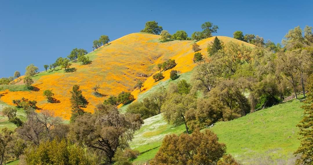 0 Electra Road Jackson, CA 95642 - Photo 37 of 51 a view of a white building with a yard