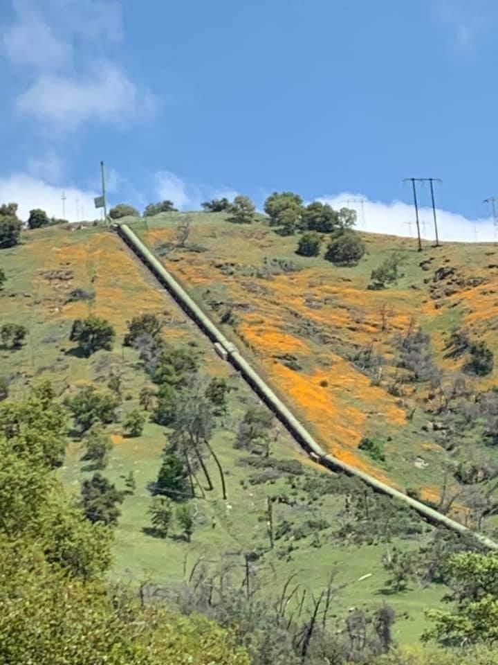 0 Electra Road Jackson, CA 95642 - Photo 40 of 51 a view of ocean