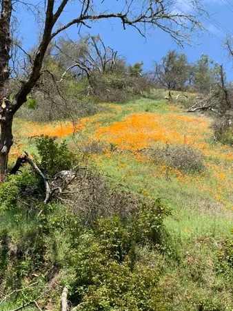 $199,000 | 0 Electra Road, Jackson, CA 95642