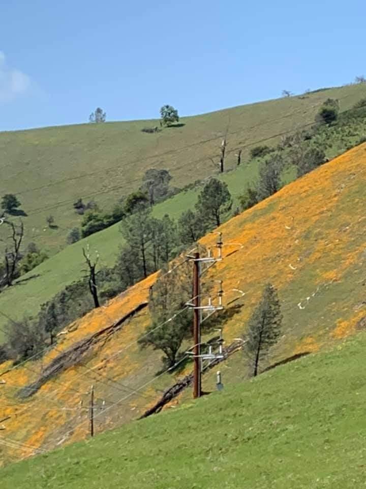 0 Electra Road Jackson, CA 95642 - Photo 47 of 51 a view of an ocean and mountain