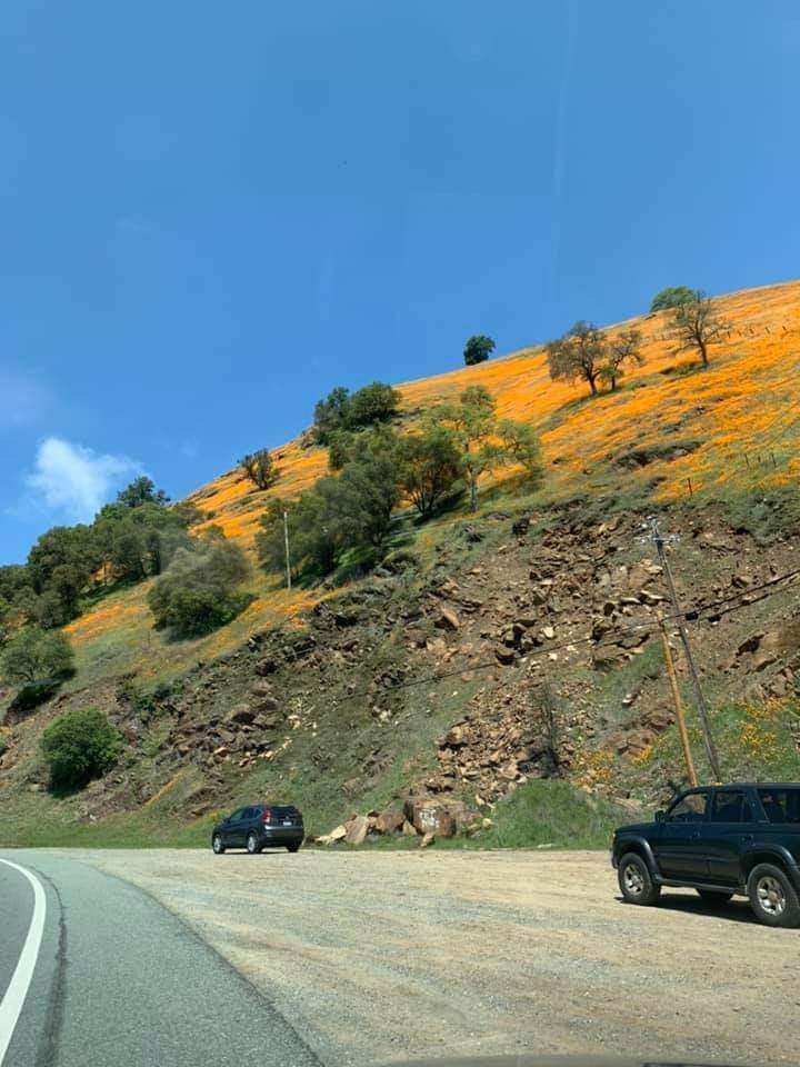 0 Electra Road Jackson, CA 95642 - Photo 49 of 51 a view of a road with an ocean view