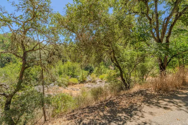 a view of a yard with a tree