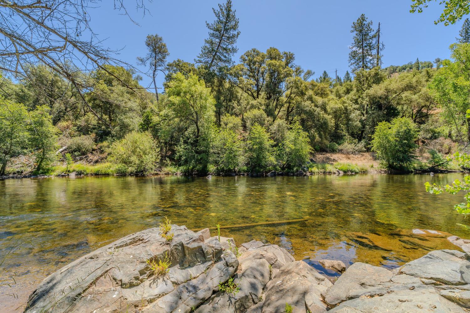 0 Electra Road Jackson, CA 95642 - Photo 8 of 51 a view of a lake with a palm tree