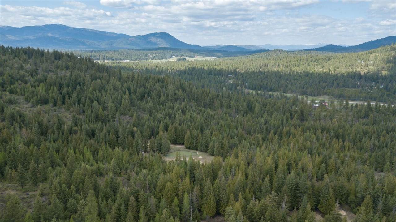 1071 Fertile Valley Road Newport, WA 99156 - Photo 5 of 20