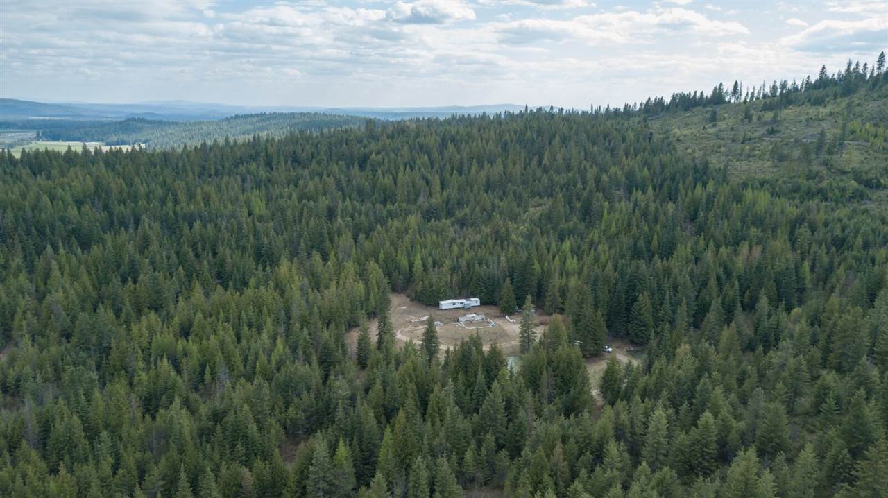 1071 Fertile Valley Road Newport, WA 99156 - Photo 7 of 20