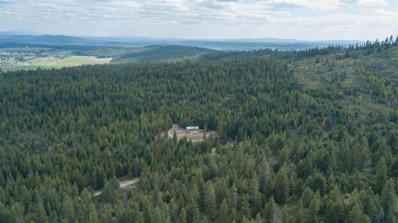 1071 Fertile Valley Road Newport, WA 99156 - Photo 8 of 20