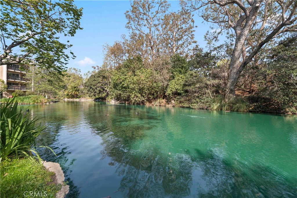 8108 Raintree Circle Culver City, CA 90230 - Photo 15 of 18 a view of a lake view with a garden