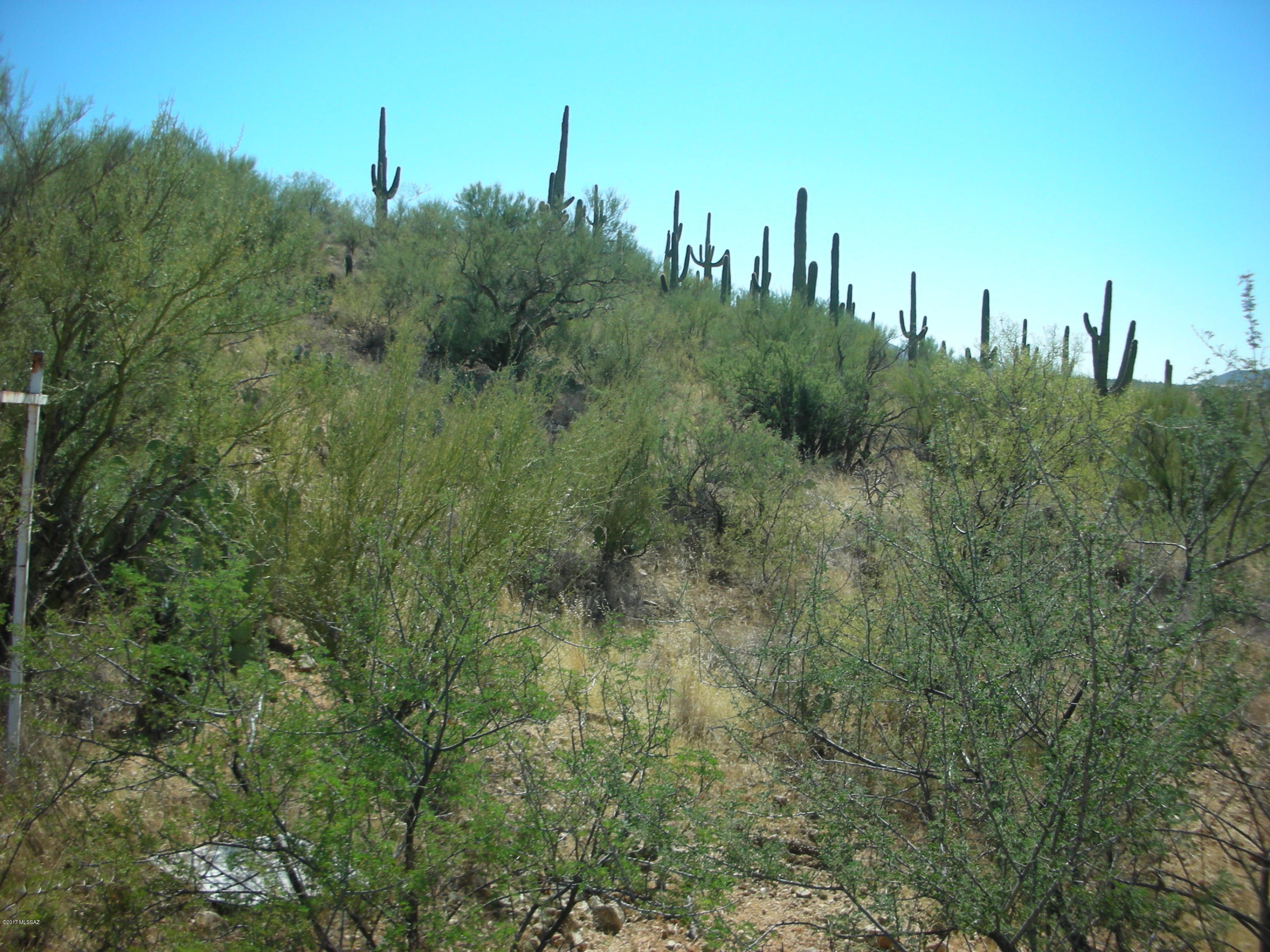 East McKenzie Wash Road Vail, AZ 85641 - Photo 9 of 24