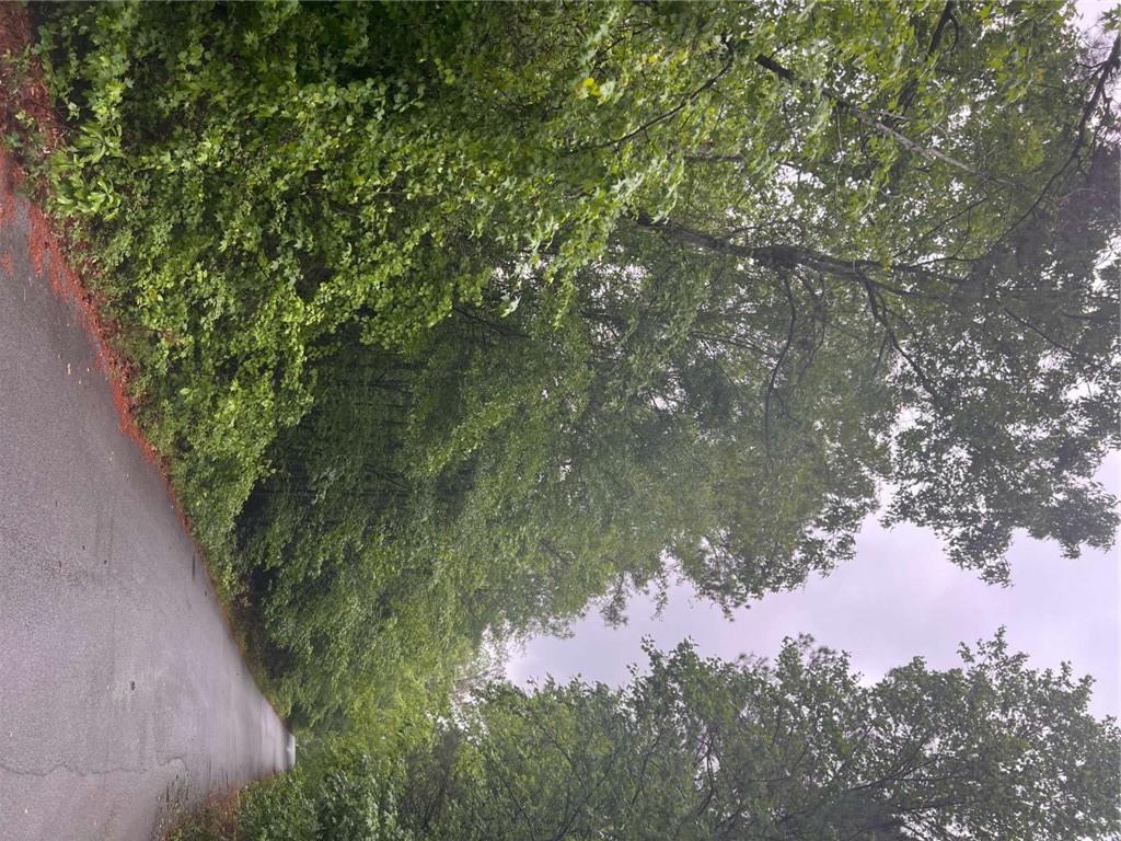 3735 Millstream Lane Stockbridge, GA 30281 - Photo 5 of 8