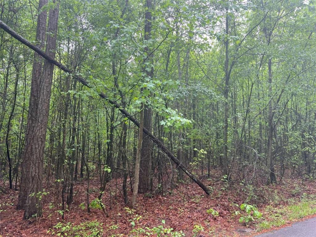 3735 Millstream Lane Stockbridge, GA 30281 - Photo 6 of 8